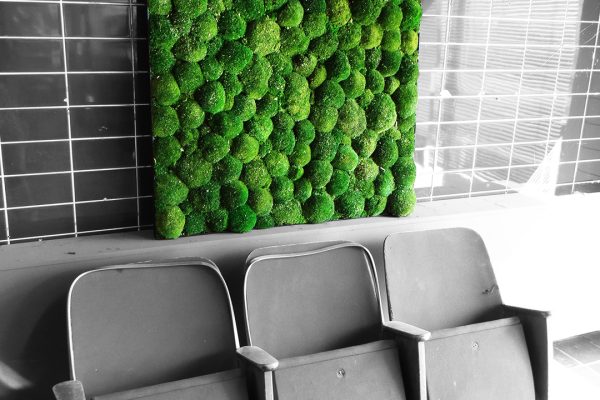 Moss Frame - Green Wall - Amsterdam