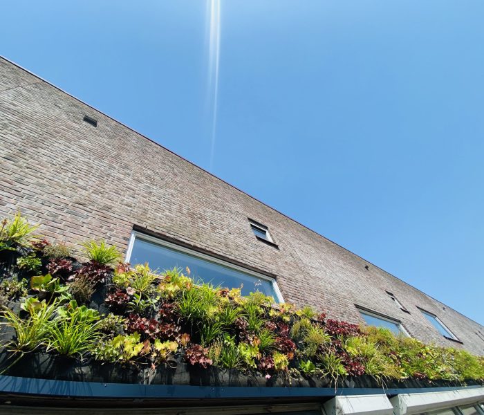 Outdoor Greenwall - School Amsterdam