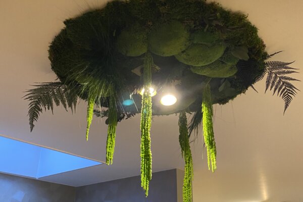Moss Wall Verlichting Plafond Interieurdesign