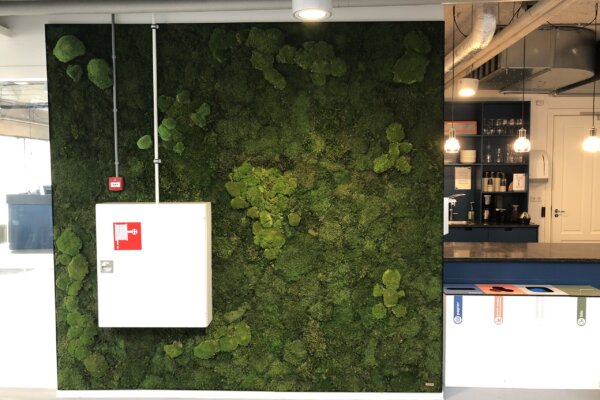 Moswand Moss Wall Groene wand Interieurdesign Amsterdam