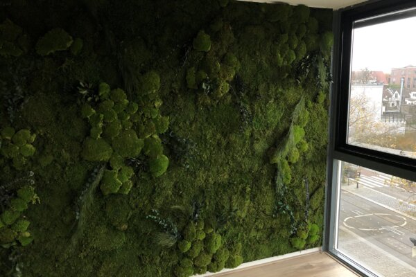 Moss Wall Jungle Style Plantenwand Interieurdesign