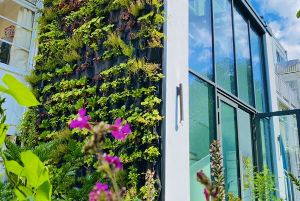 Outdoor Greenwall Plantenwand Amsterdam Verticale Tuin
