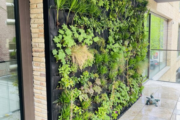 Outdoor Greenwall - De Verticale Tuinman - Plantenwand