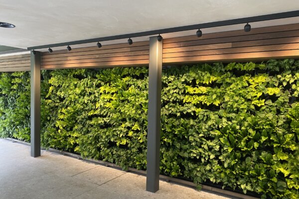 Indoor Greenwall - De Verticale Tuinman - Plantenwand