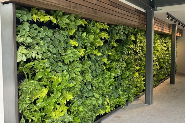 Indoor Greenwall - De Verticale Tuinman - Plantenwand