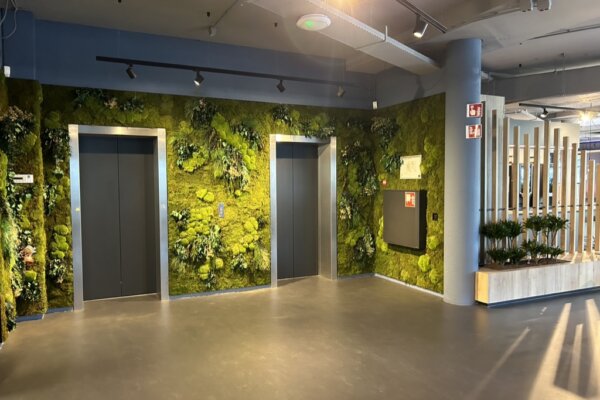Moss Wall Jungle Style Groene wand Planten Amsterdam