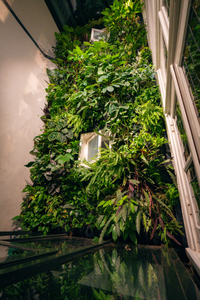 Verticale Tuin Verticale plantenwand Amsterdam Keizersgracht