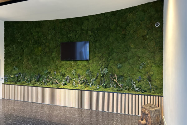 Plantenwand Verticale Tuin Jungle Moswand Groene Wand
