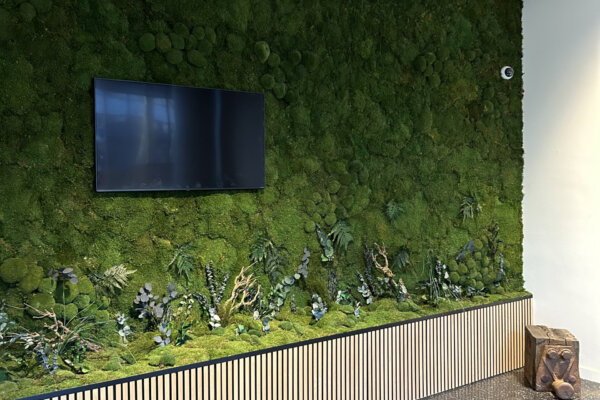 Plantenwand Verticale Tuin Jungle Moswand Groene Wand