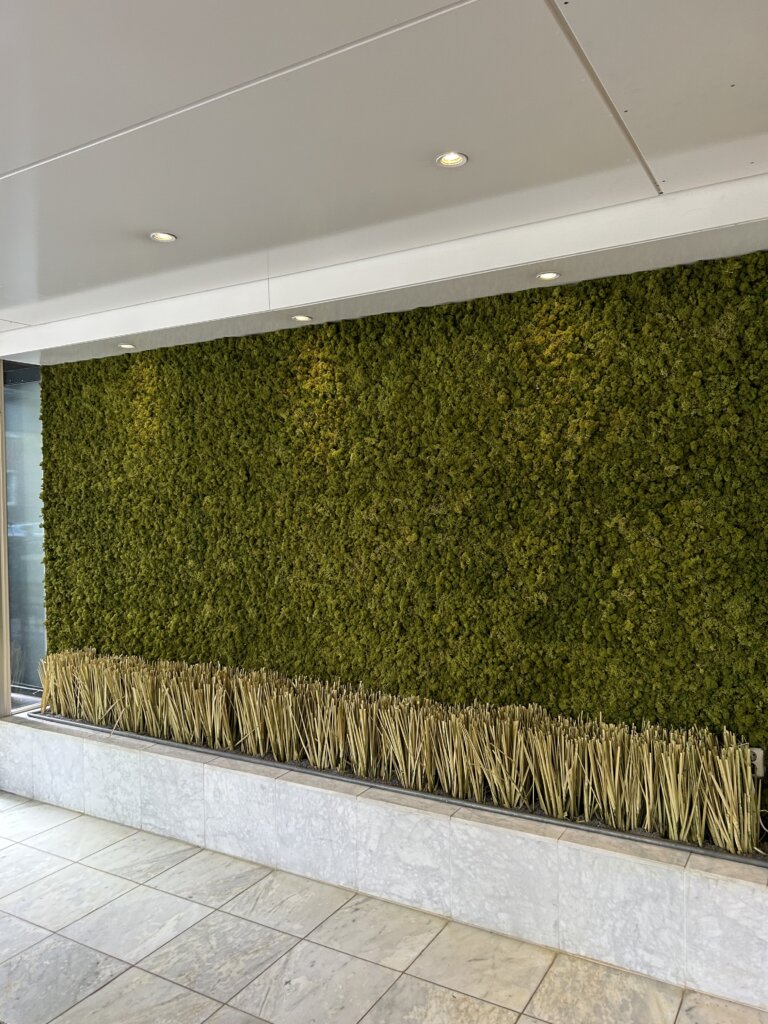 Moss Wall Moswand Green Wall Hotel Amsterdam Hal Interieur