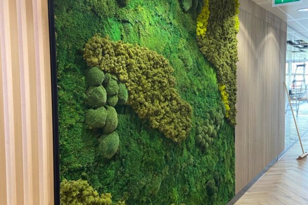 Moswand Moss Wall Groene wand Plantenwand Interieur Design Amsterdam