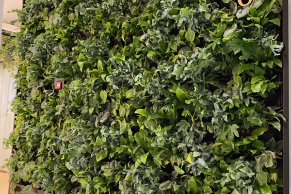 Indoor Living Greenwall - Floor 0 | Rituals Headoffice