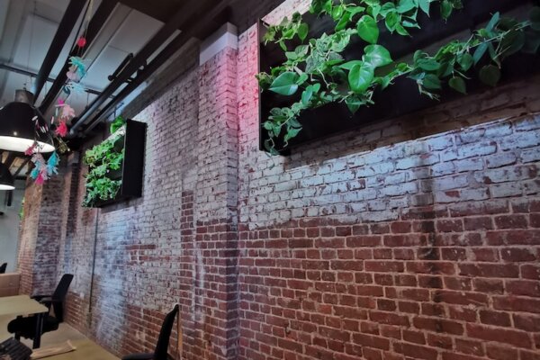 Living Greenwall See Tickets